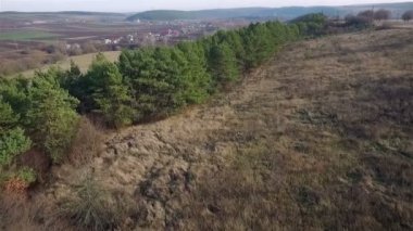 Ormanın Üzerinden Uçuş