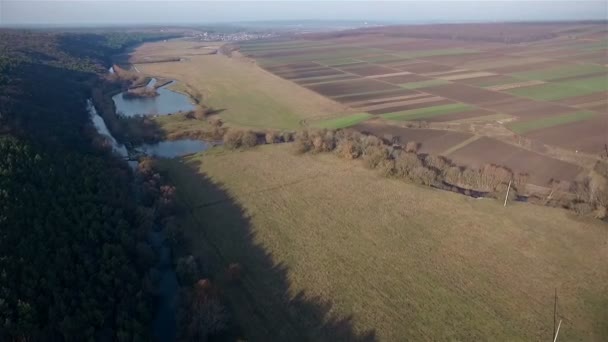 Campos com vários tipos de agricultura — Vídeo de Stock