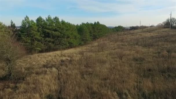 Vista aérea sobre el bosque — Vídeo de stock