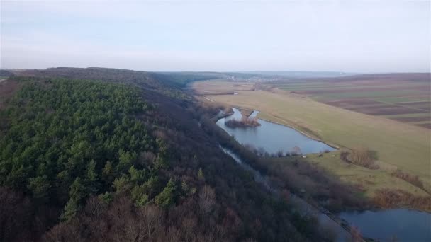 Vue aérienne sur la forêt et le lac 
