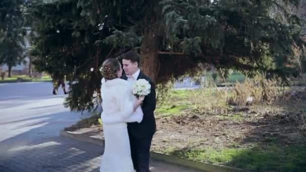 Bruid en bruidegom in een park op hun trouwdag — Stockvideo