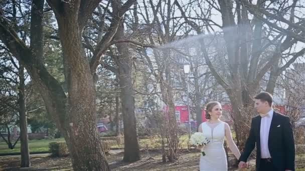 Día de la boda joven pareja enamorada — Vídeos de Stock