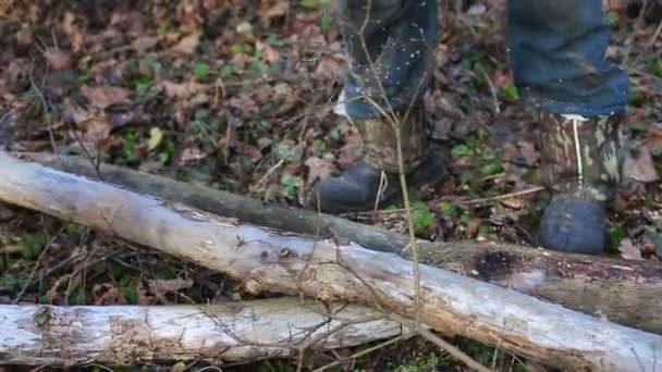 Man met een kettingzaag snijden boom — Stockvideo