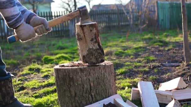 Un homme coupe du bois. ensoleillé — Video
