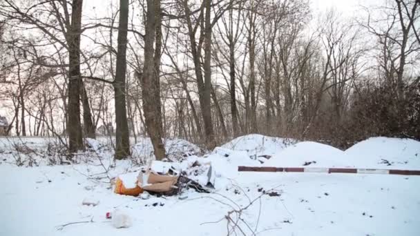 Basura en el bosque invierno — Vídeo de stock