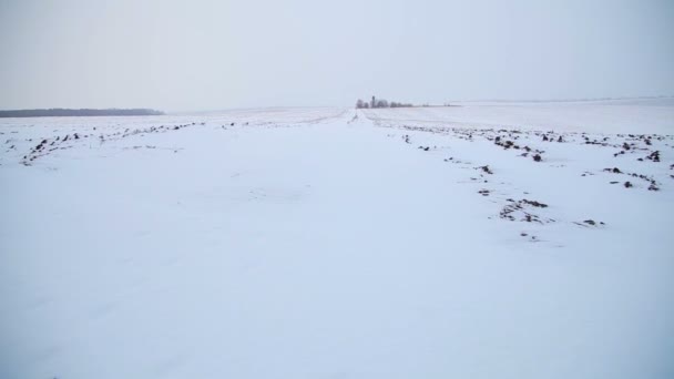 Танення снігу на оранжевому полі — стокове відео