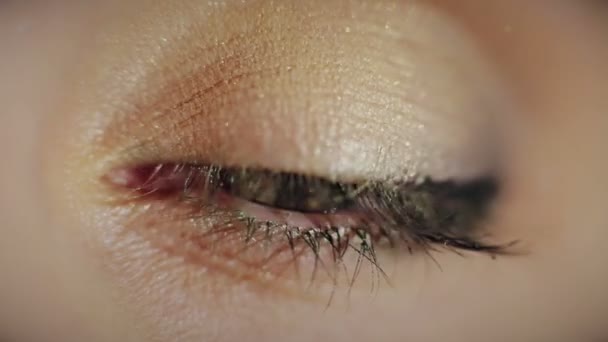 Beautiful Women eye Macro — Stock Video