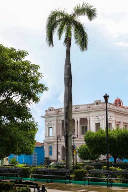 Bir parktaki koloni binasının üzerinde yükselen görkemli bir palmiye ağacı. Trinidad, Küba,