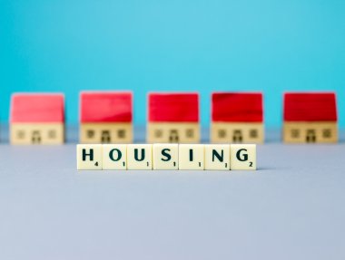 Seashell makro detay