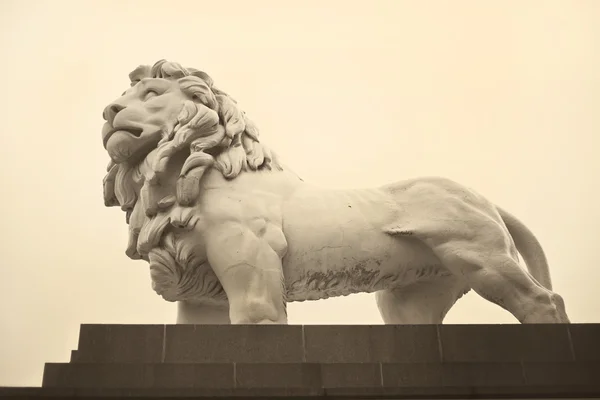 Estátua de um leão. Fotografias De Stock Royalty-Free