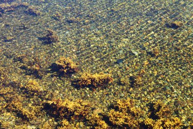 su arkaplan altında.