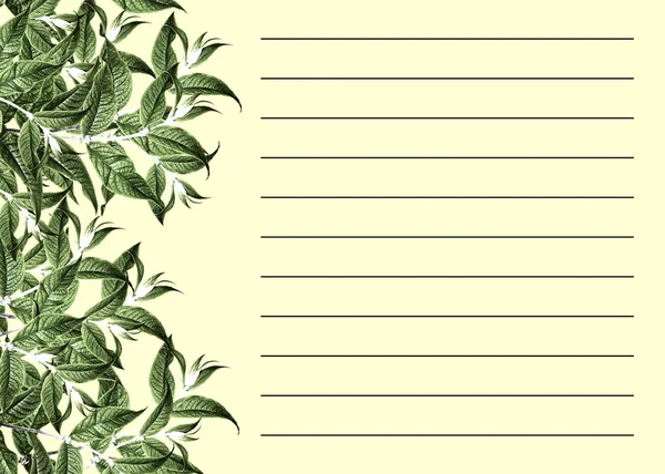 Список зелёных листьев . — стоковое фото