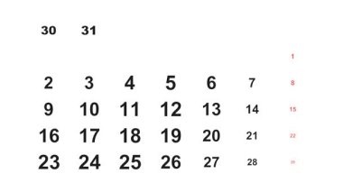 3 Temmuz 2029, Animasyon 2026 Temmuz takvimi, 3 Temmuz görev, not ve yapılacaklar listesi.