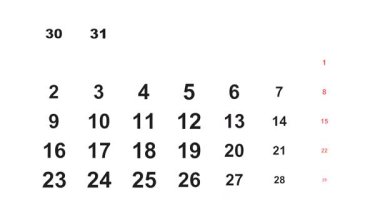 12 Temmuz 2029, Animasyon 2026 Temmuz takvimi, 12 Temmuz görev, not ve yapılacaklar listesi.