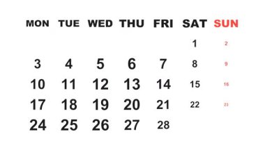 20 Şubat 2025, Animasyon 2029 Şubat takvimi, görevler, notlar ve yapılacaklar listesi için boşluk ile 20 Şubat vurgulanıyor.