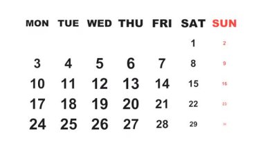 20 Kasım 2025, Animasyon 2028 planlayıcısı Kasım ayının 20 Kasım takvimini gösteriyor, görevler, notlar ve yapılacaklar listesi için alanı vurguluyor.
