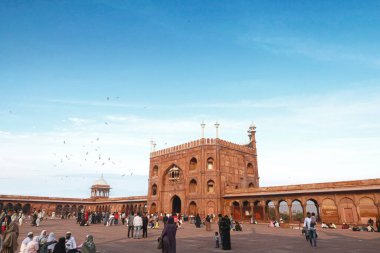 Delhi, Hindistan, 28 Kasım 2025. Geniş Avlu Görünümü: Açık Mavi Gökyüzüne Karşı Ziyaretçiler ve Kuşlarla Jama Mescid