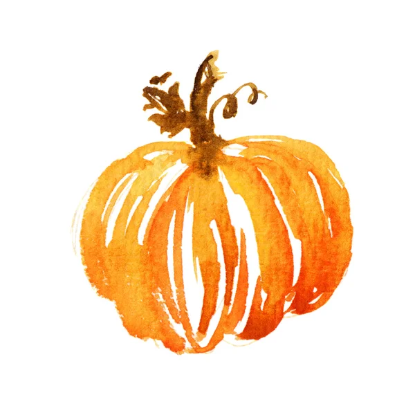 Illustrazione zucca acquerello — Foto Stock