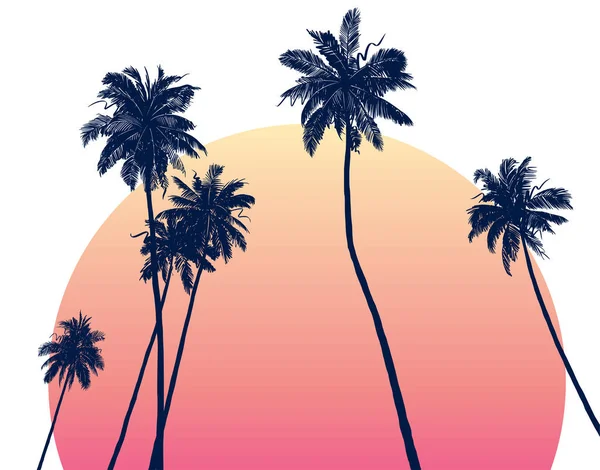 Schetterende Tropische Illustratie Van Palmbomen Silhouetten Bij Zonsondergang Handgetekende Ruwe — Stockvector