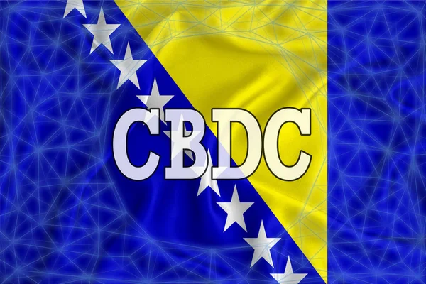 Bosnia Herzegovina Flag Написом Cbdc Центральний Банк Цифрової Валюти Сіткою — стокове фото