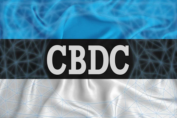 Estonia标志着Cbdc 中央银行数字货币 和一个区块网环绕 图形概念为您的设计 3D渲染 — 图库照片