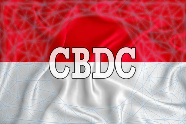 Bendera Monako Dengan Tulisan Cbdc Bank Sentral Mata Uang Digital — Stok Foto