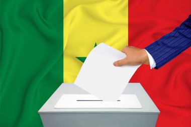 Ülkedeki seçimler - oy sandığında oy kullanma. Bir adam oyunu sandığa koyuyor. Senegal bayrağı arkaplanda.