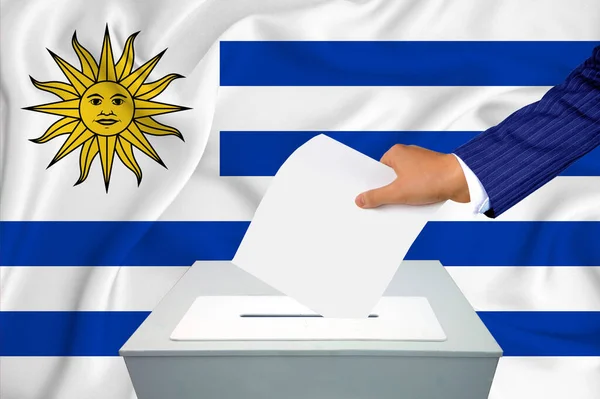 Elections in the country - voting at the ballot box. A man\'s hand puts his vote into the ballot box. Flag Uruguay on background.