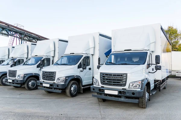 Five New White Trucks Ready Departure Parked Delivery Shipment Goods — Stock Photo, Image