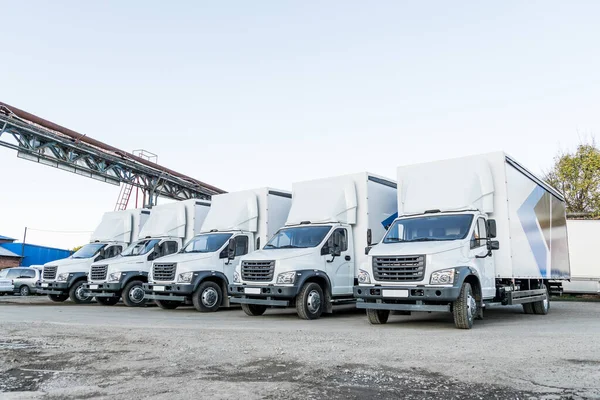 Five New White Trucks Ready Departure Parked Delivery Shipment Goods — Stock Photo, Image