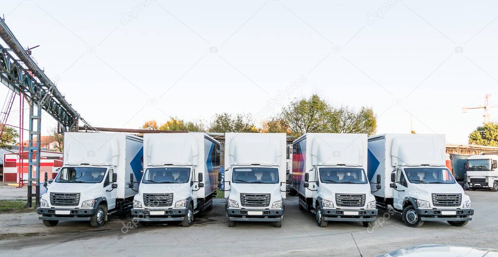 Five new white trucks ready for departure are parked. Delivery or shipment of goods in a conceptual manner.