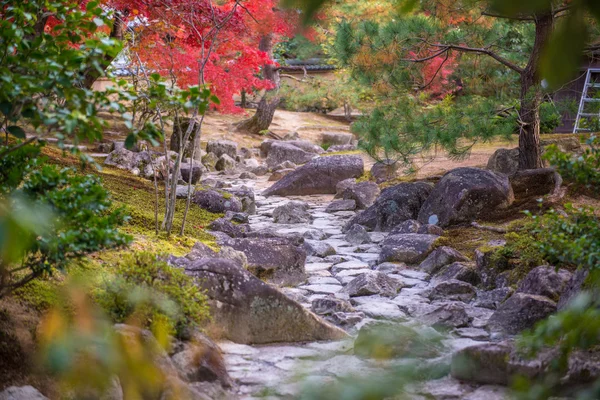 Vieux sentier fluvial nature Japon — Photo