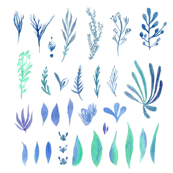Conjunto de folhas azuis-verdes coloridas brilhantes —  Vetores de Stock