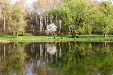 Bahar yatay, yansıma