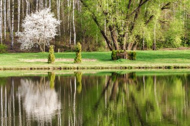Bahar yatay, yansıma