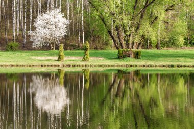 Bahar yatay, yansıma