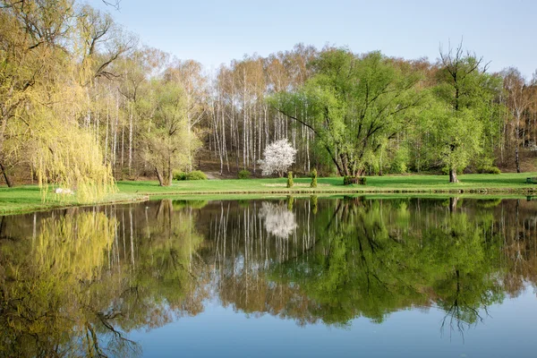 Bahar yatay, yansıma