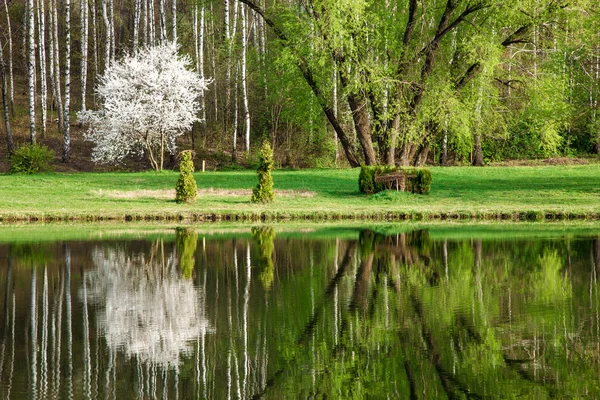 Bahar yatay, yansıma