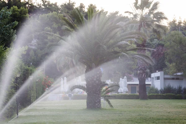 Sprinkle the lawn — Stock Photo, Image