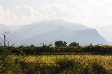 Olympus çubukların arkasında