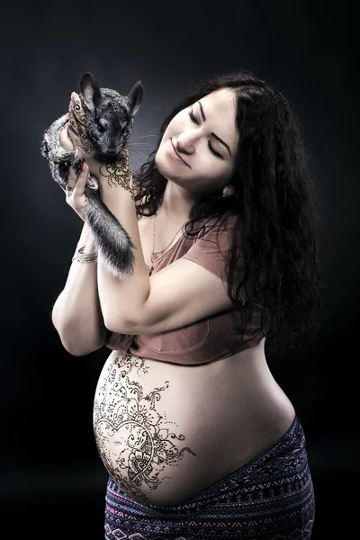 Femme enceinte avec chinchilla — Photo