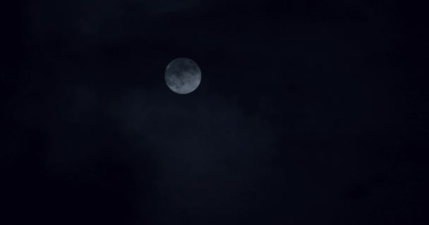 Fullmåne på mörk himmel — Stockvideo
