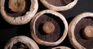 Dönen Portobello mantarları