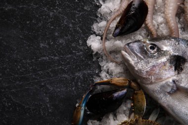 Mermer masada servis edilen taze deniz ürünleri Dorado, buzda mavi yengeç ve mürekkepbalığı.