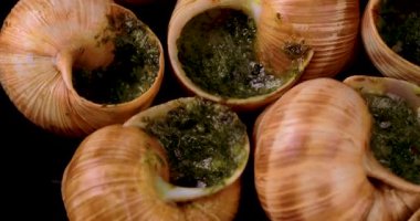 Kabuklu geleneksel salyangoz yakın plan, canlı yeşil sarımsaklı bitki yağı ile dolu bir tabakta dönüyor. Zengin dokusu ve zarif sunumu olan Fransız mutfağı konsepti. Yemek ve restoran görselleri için ideal..