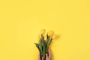 Parlak sarı bir zemin üzerinde taze sarı laleleri tutan eller modern ve neşeli bir çiçek kompozisyonu oluşturuyor..