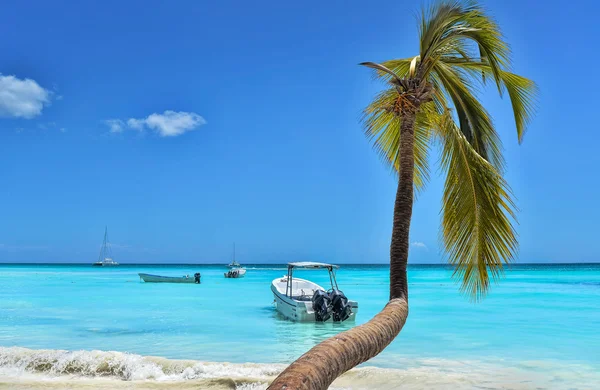 Palmier, mer des Caraïbes, bateaux et ciel bleu — Photo