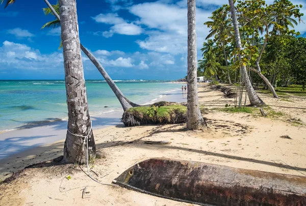 Praia do Caribe com palmeiras na República Dominicana — Fotografia de Stock