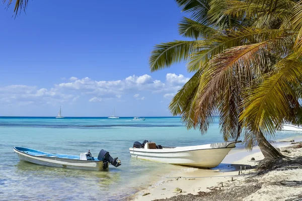 Barcos e palmeiras na praia exótica na ilha tropical — Fotografia de Stock