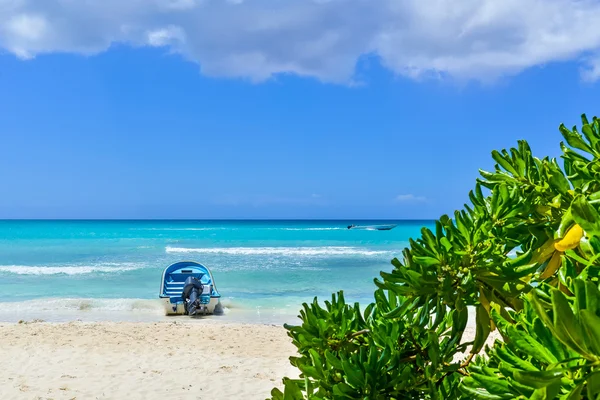 Barco en la playa tropical en la isla exótica — Foto de Stock